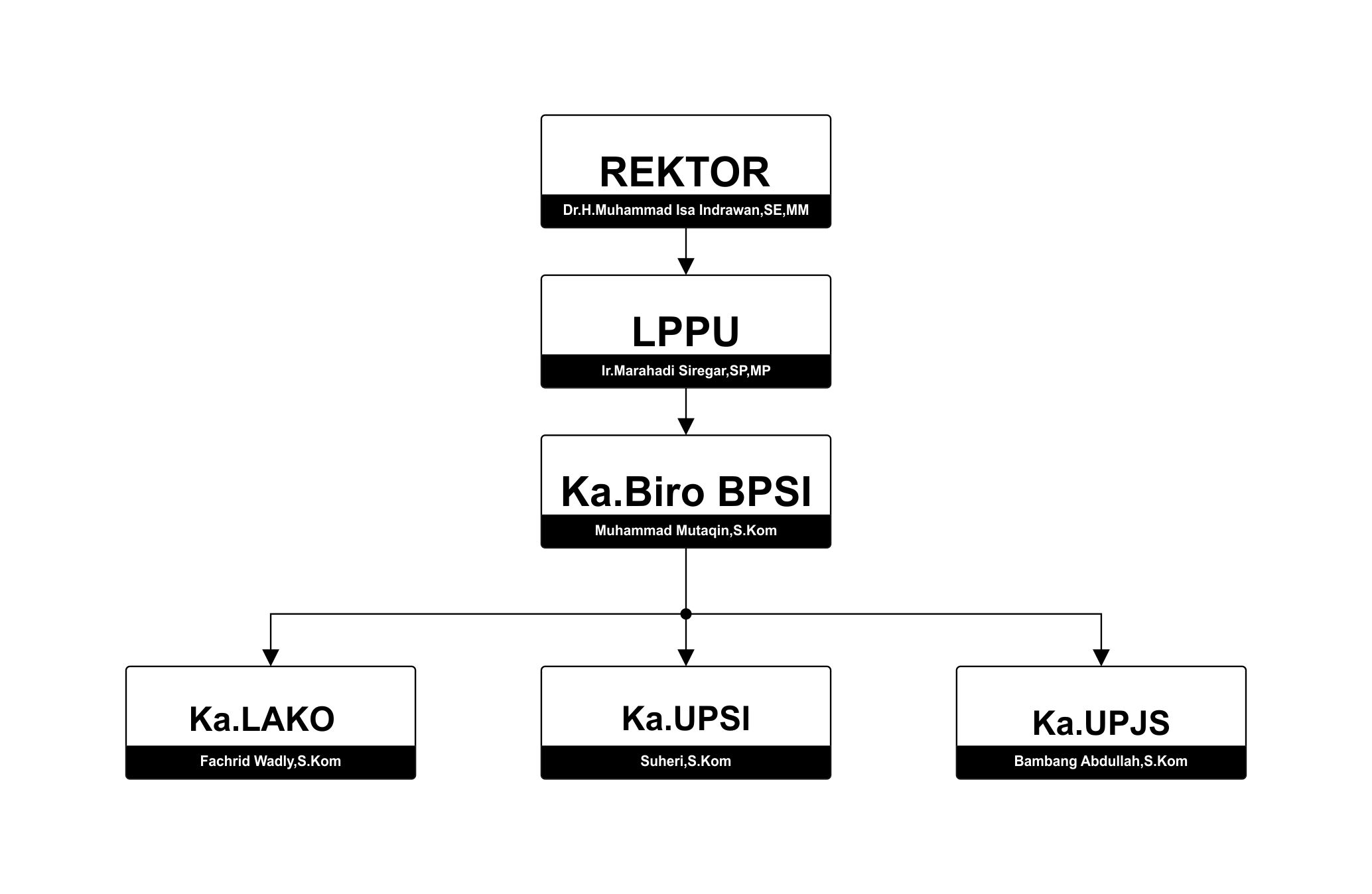 struktur bpsi2.jpg
